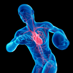 COBEX- Cholesterol Supplement - All-Natural Ingredients to Support Normal HDL and LDL Colesterol Levels. Supports Arteries, Heart & Circulation. 60 Capsules