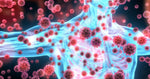 DIFEST 1- Complete Immune System Support | Echinacea, Zinc, Astragalus & Pau D’arco